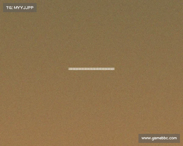 赛事采访稿赛事总监深度专访揭示大型赛事组织智慧与挑战经验分享